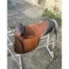 Bardette shetland