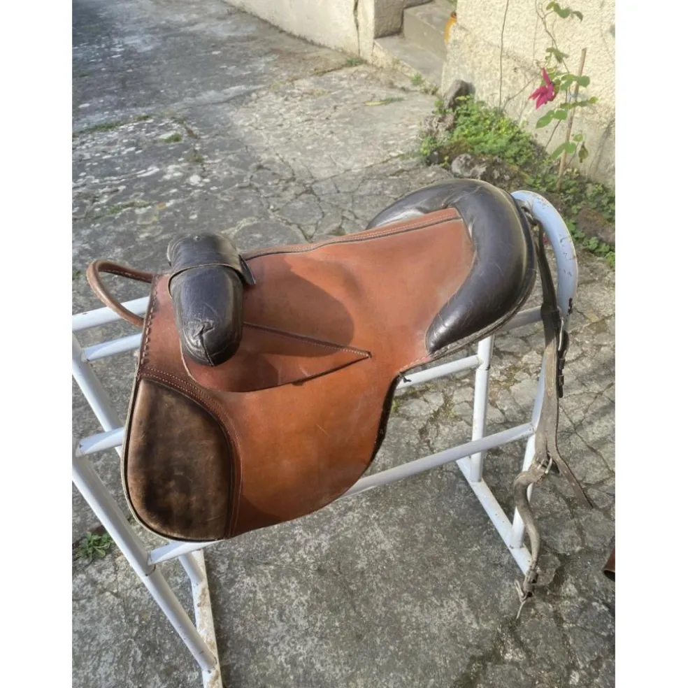 Bardette shetland