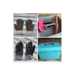 Boîte de pansage/brosses/gants