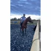 Bridon jumpin