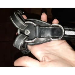 Collier de chasse