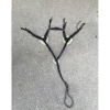 Collier de chasse