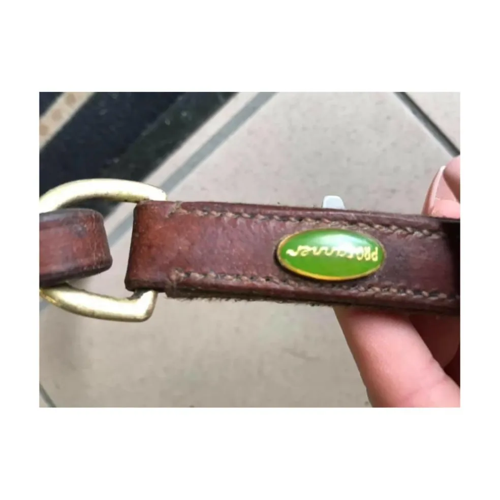 Collier de chasse