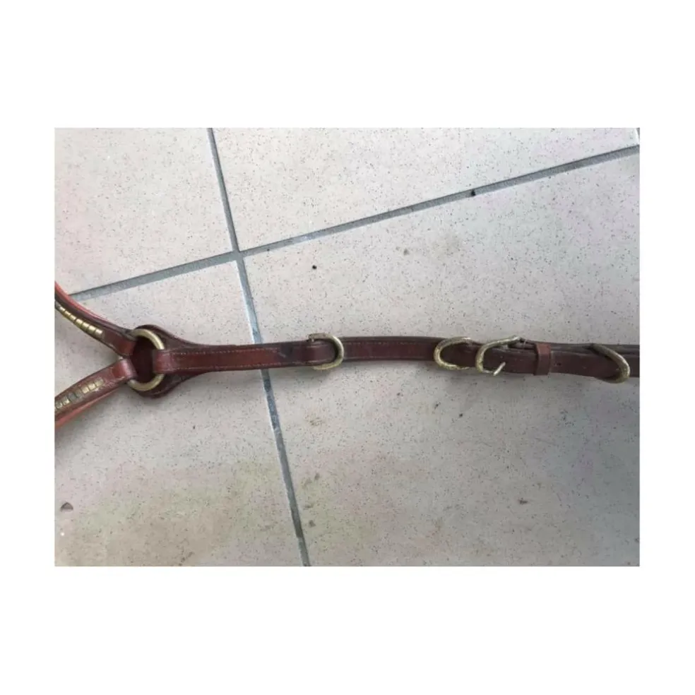 Collier de chasse