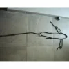 Collier de chasse