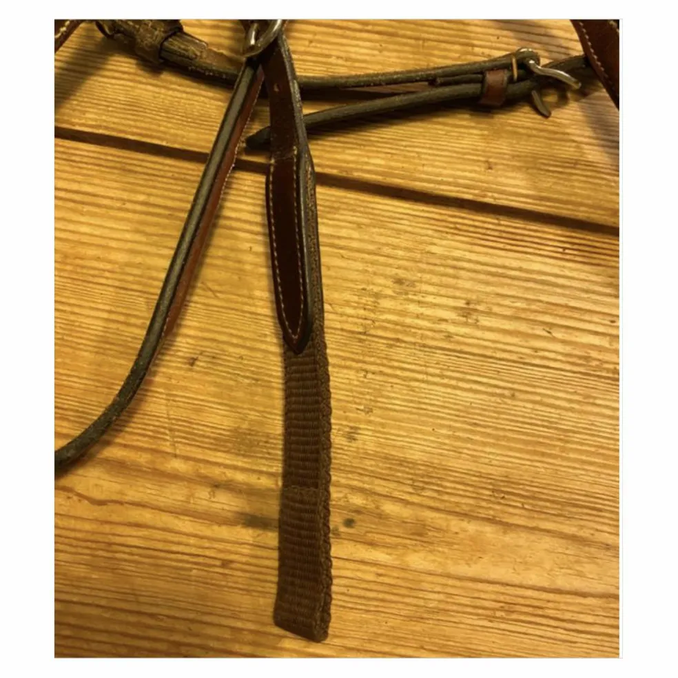Collier de chasse + martingale Eric Thomas