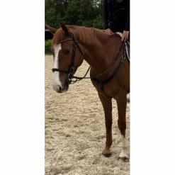 collier de chasse + martingale norton