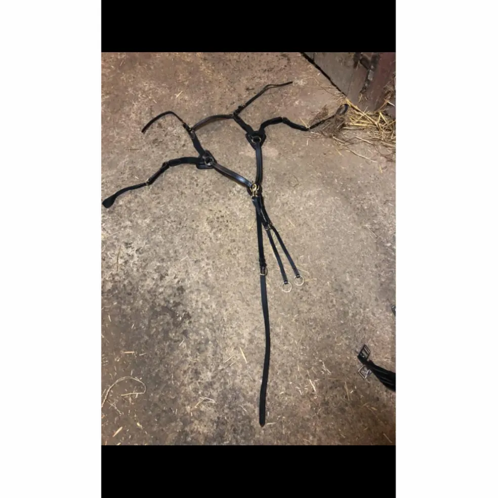 Collier de chasse 5 points Time Rider