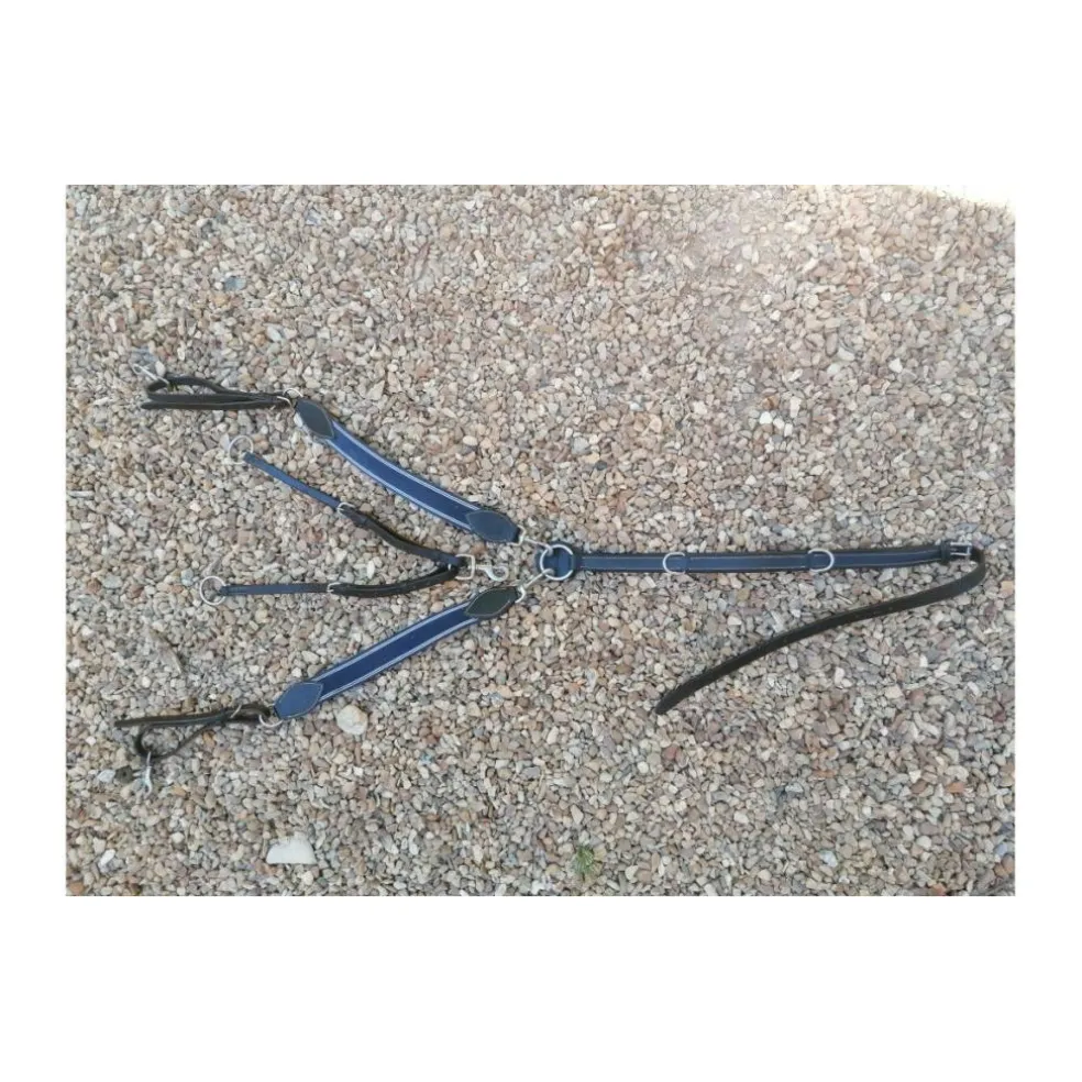 Collier de chasse avec martingale