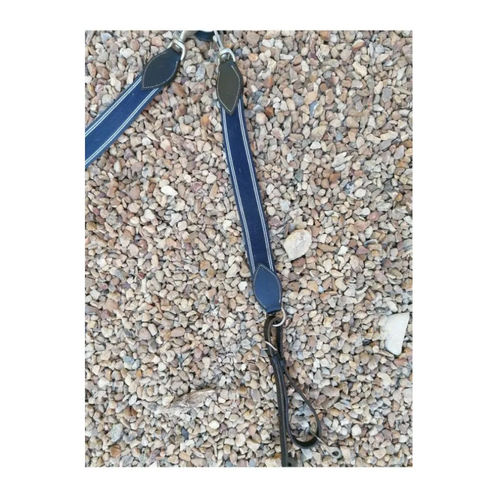 Collier de chasse avec martingale
