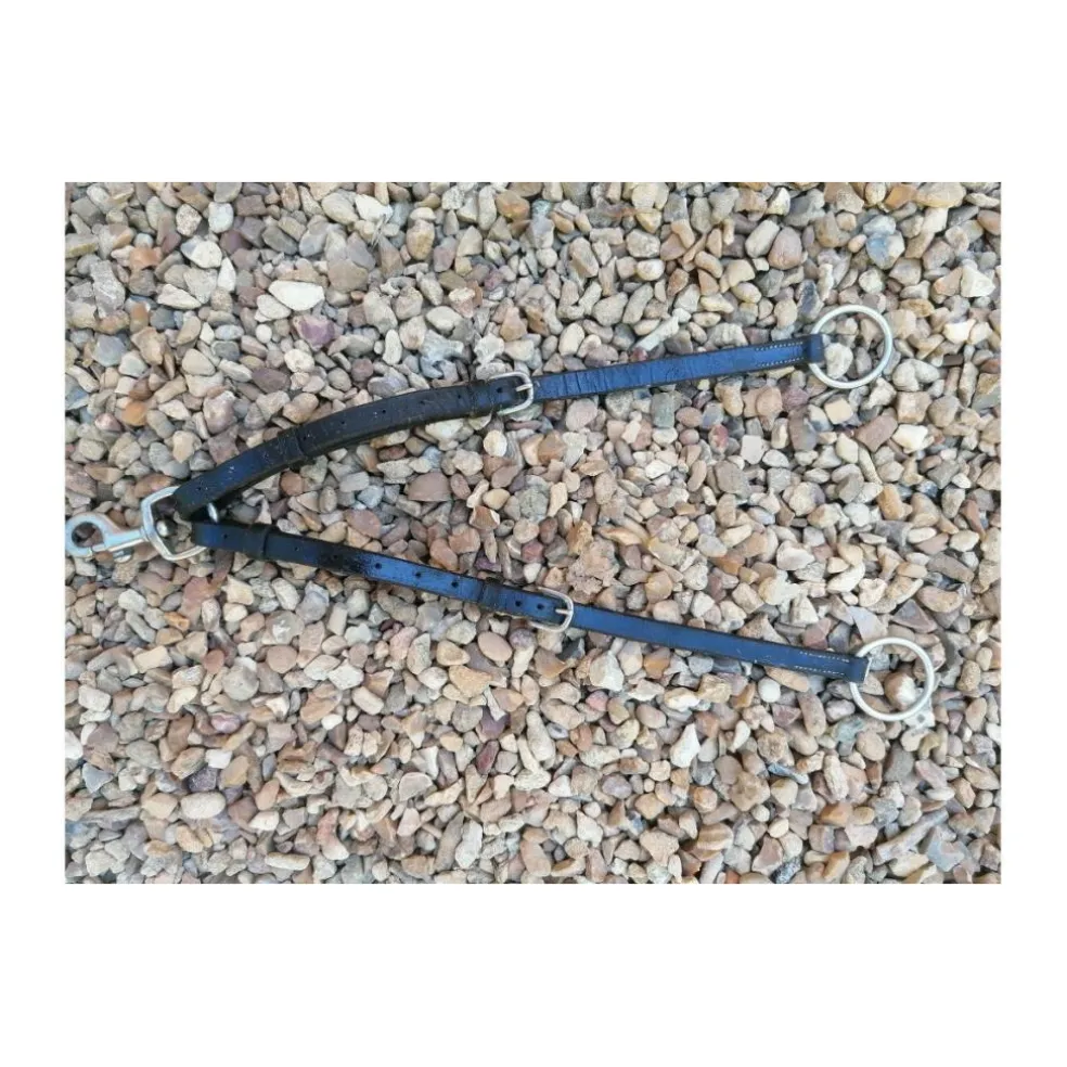 Collier de chasse avec martingale