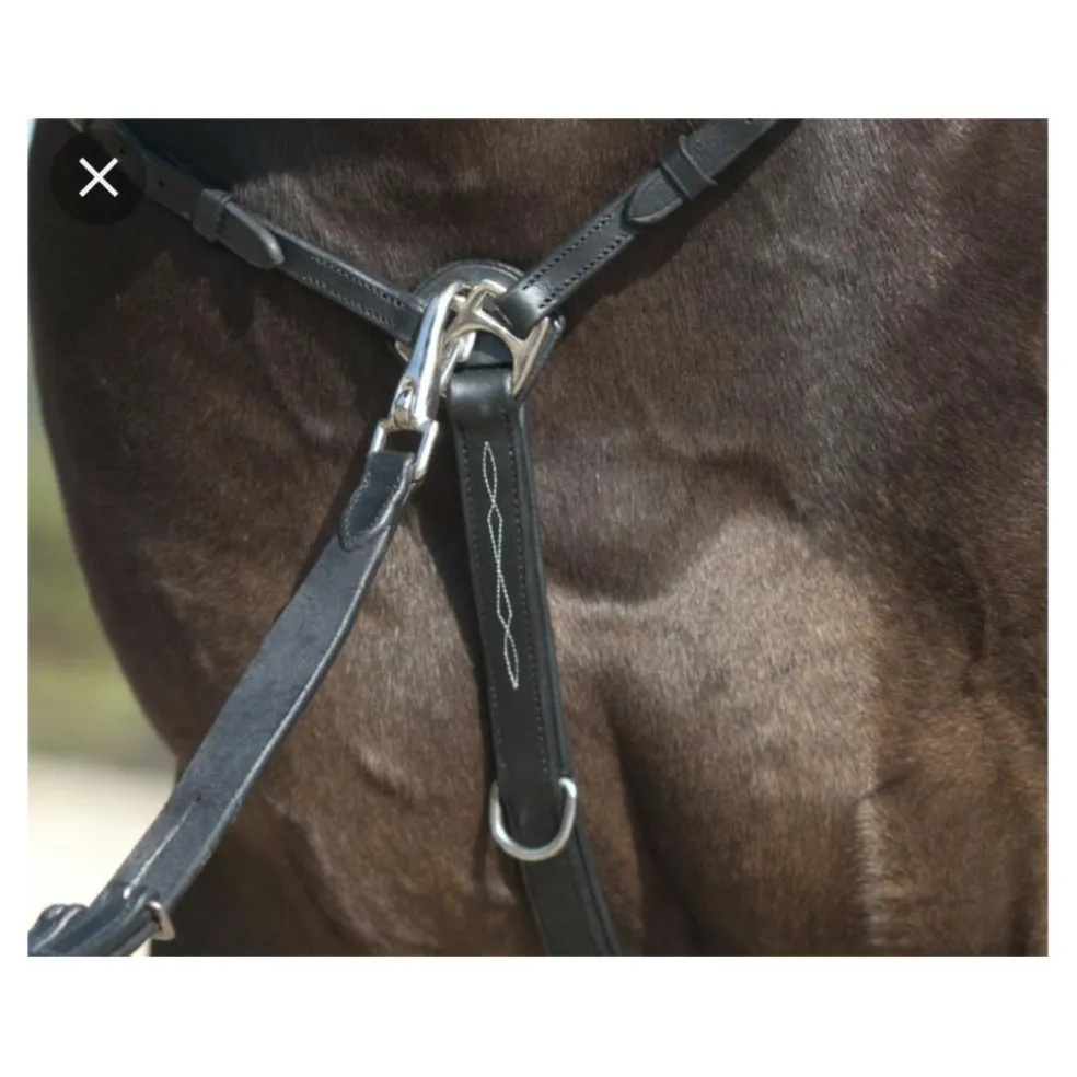 Collier de chasse avec martingale