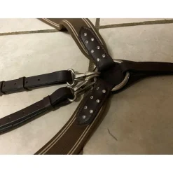 Collier de Chasse De Chasse HFI Strass