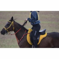Collier de chasse et fourche de martingale ZILCO