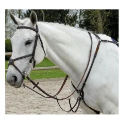 Collier de chasse Fancy Richtan Treadstone