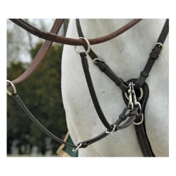 Collier de chasse Fancy Richtan Treadstone