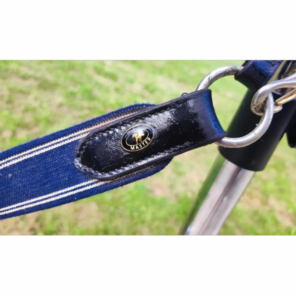 Collier de chasse HFI Master taille poney