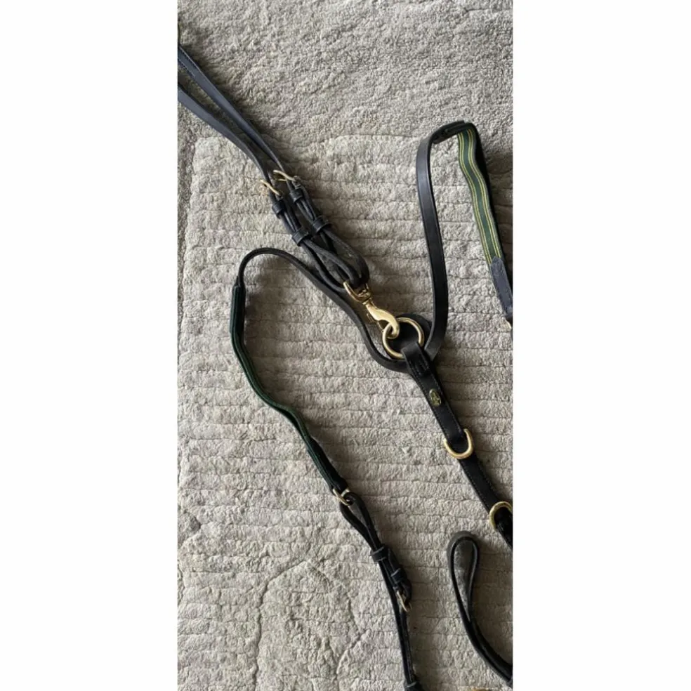 Collier de chasse marron