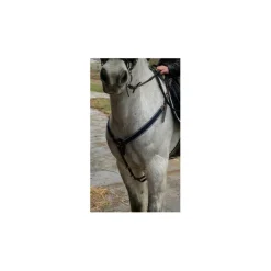 Collier de chasse time rider