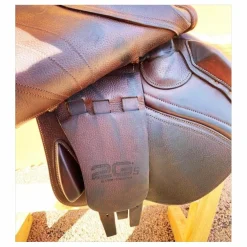 CWD MISS 17p