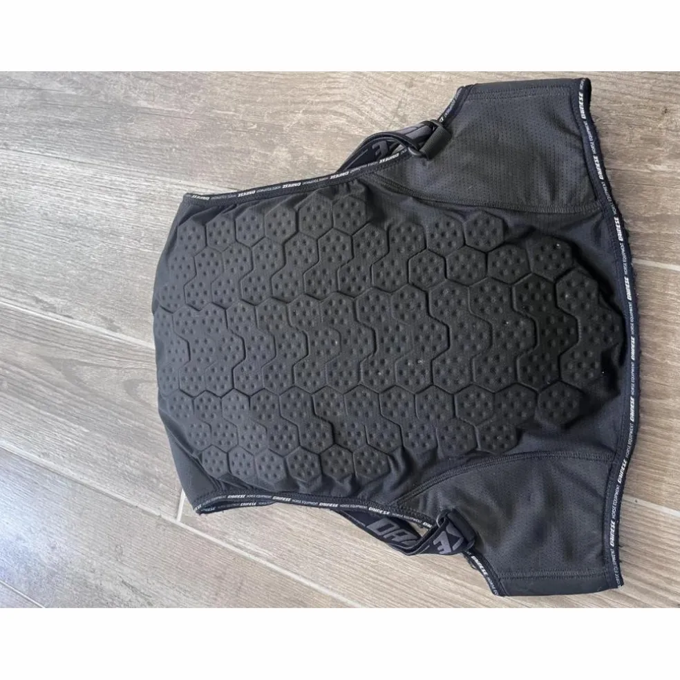 Dorsale Dainese