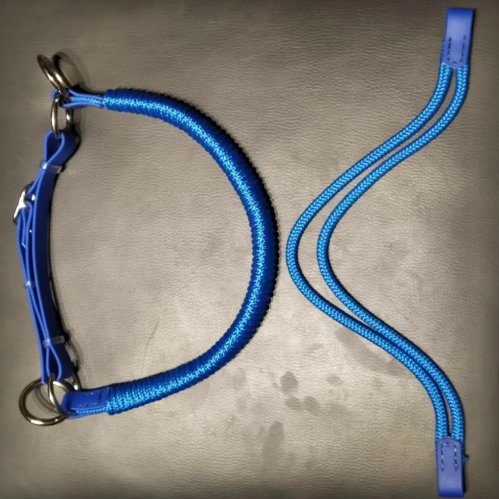 Ensemble muserolle de sidepull & frontal corde et biothane
