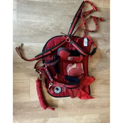 Ensemble tapis + bonnet rouge comme neuf !