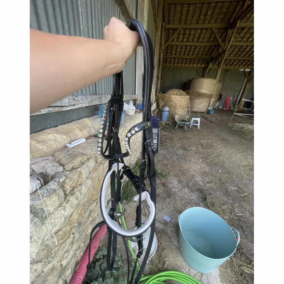 Filet dressage noir full