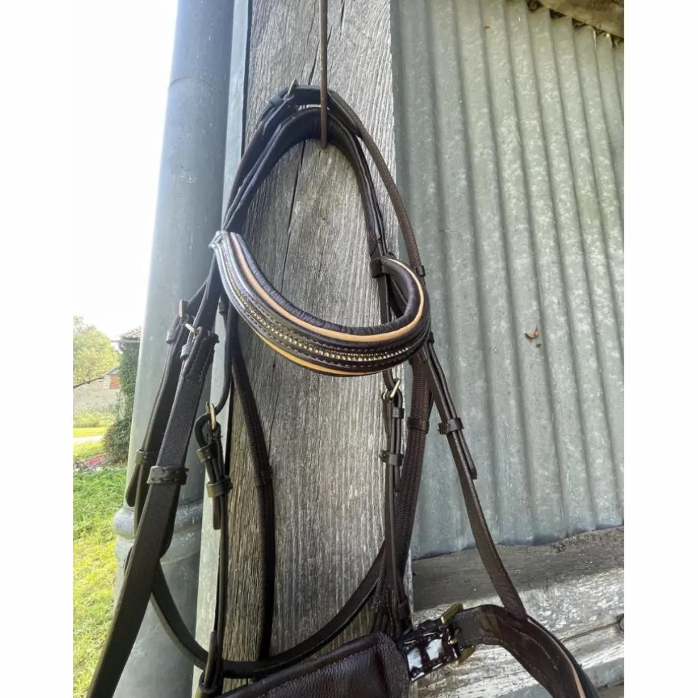 Filet marron taille cheval