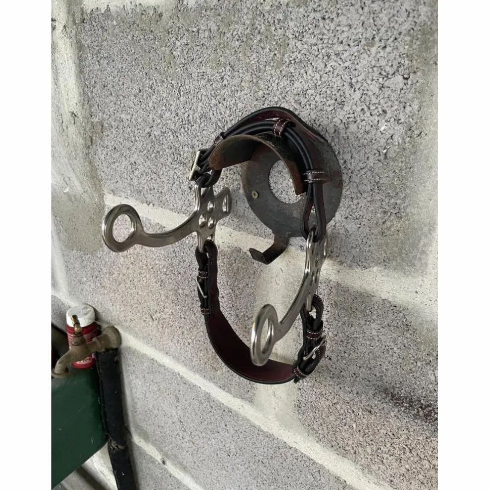 Hackamore Hervé Godignon