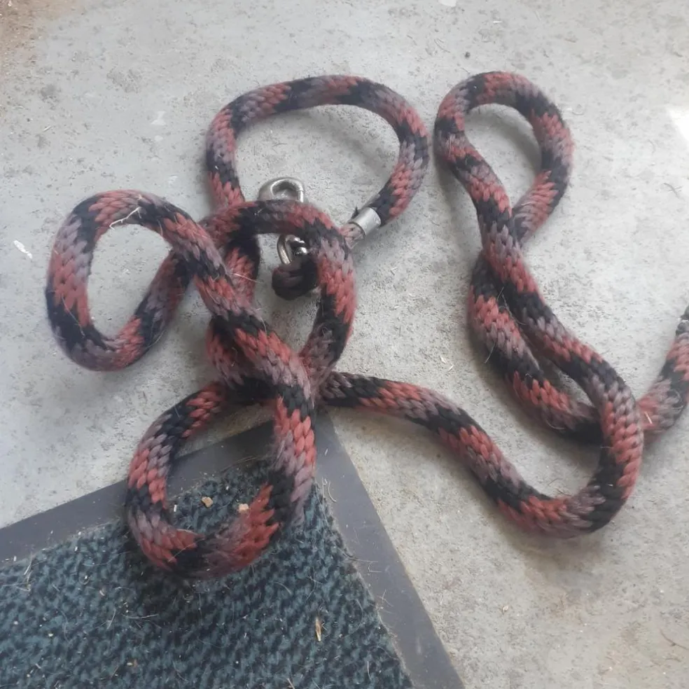 Licol + longe Fouganza