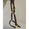Licol cuir Lemieux