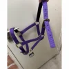 Licol Norton violet