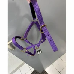 Licol Norton violet