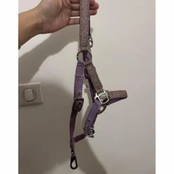 licol poulain-shetland mauve à paillettes