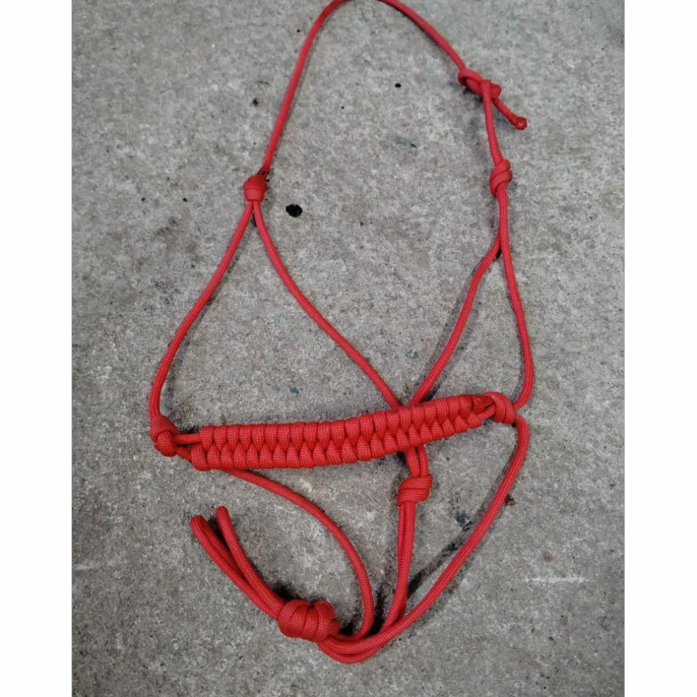 Lot X3 Licol corde mini plusieurs couleurs