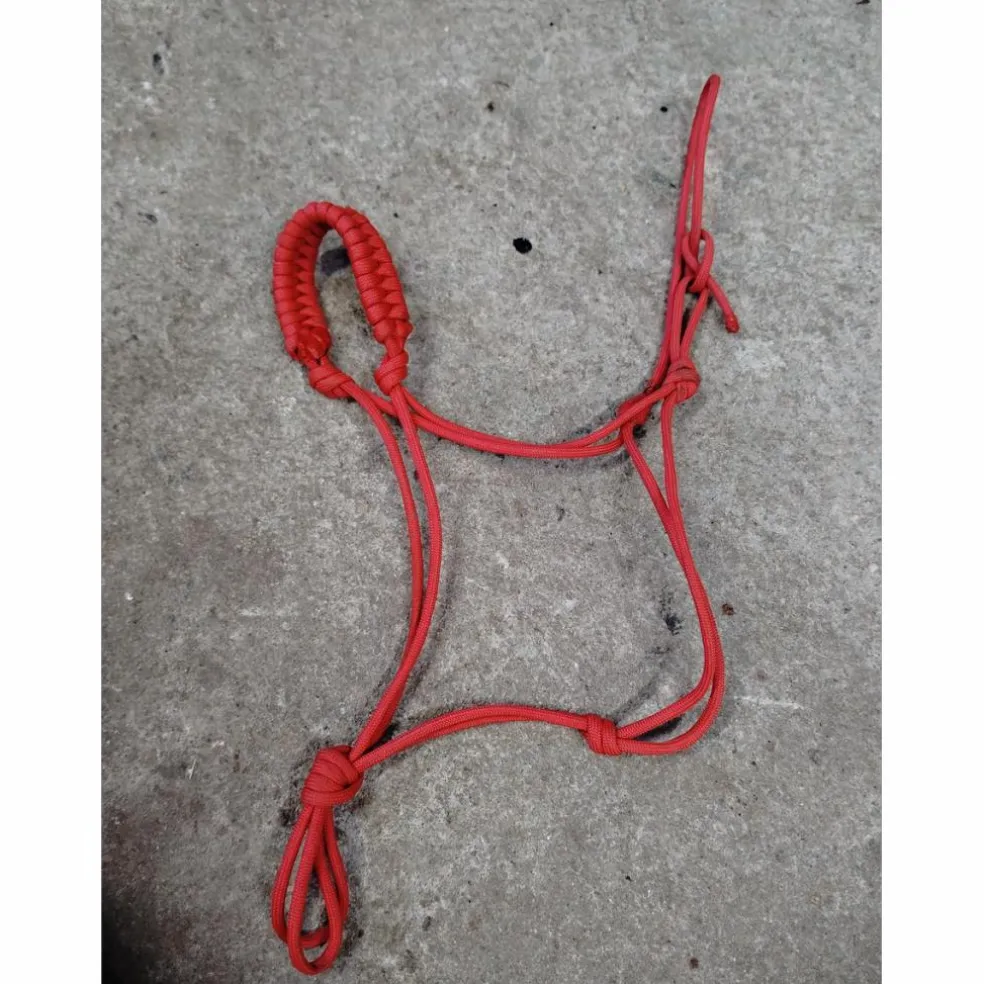 Lot X3 Licol corde mini plusieurs couleurs