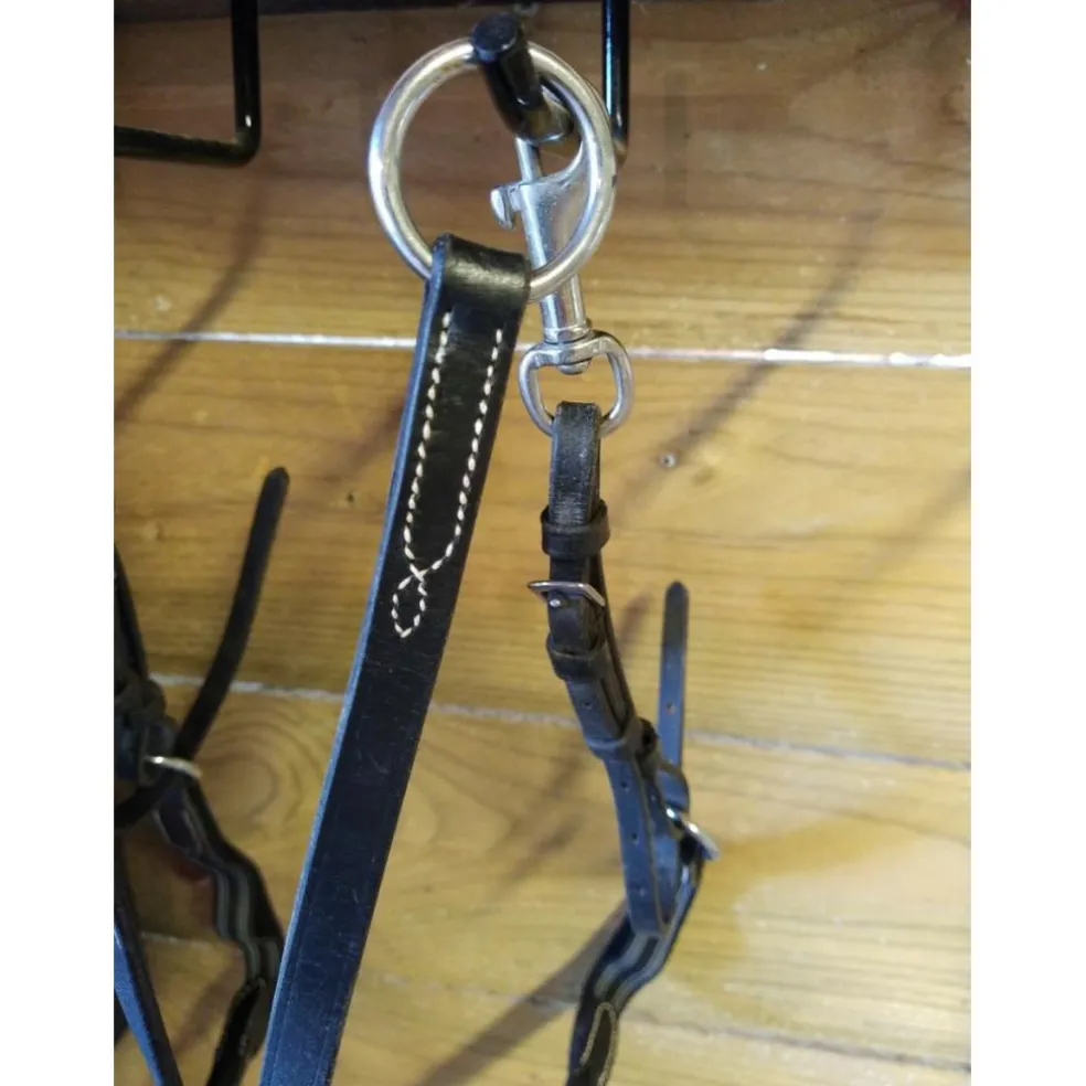 Martingale à anneaux taille cheval Fouganza