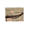 Martingale CWD taille 3
