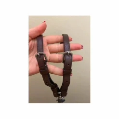 Martingale marron - taille cheval.