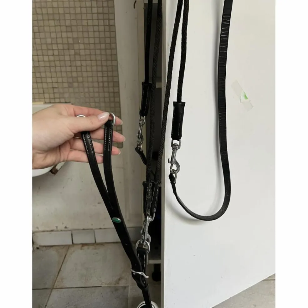 Martingale poney avec rênes amovibles