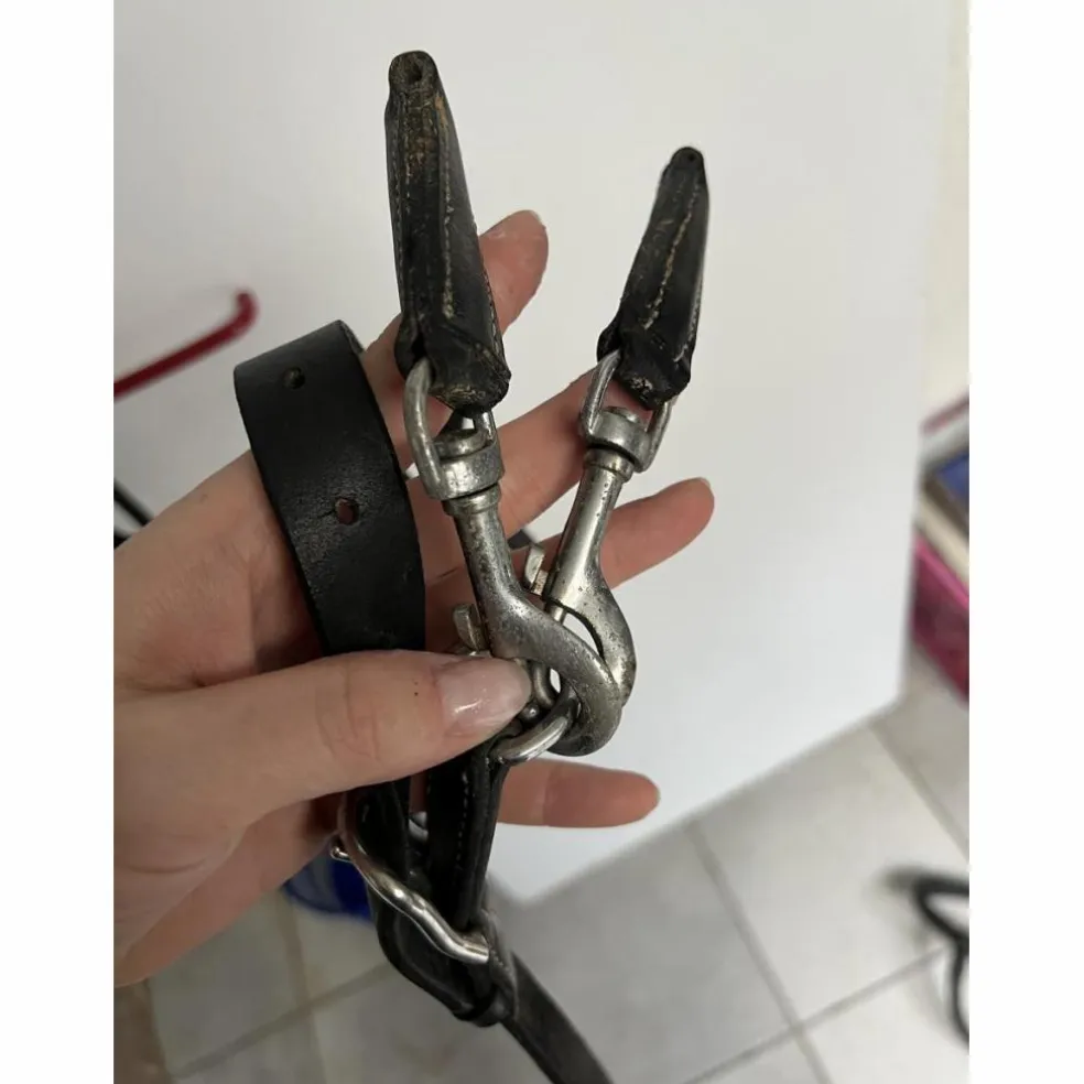 Martingale poney avec rênes amovibles