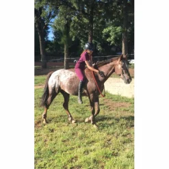 Polo et pantalon