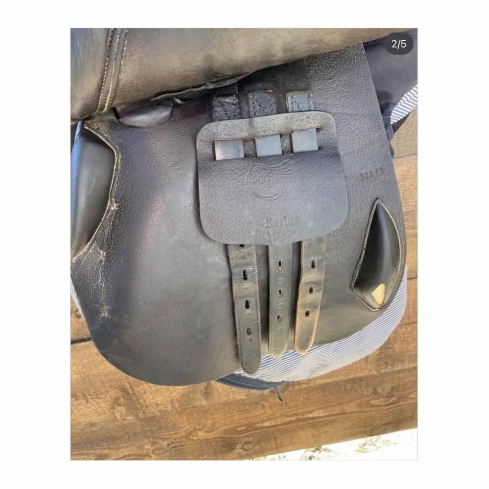 selle 16,5