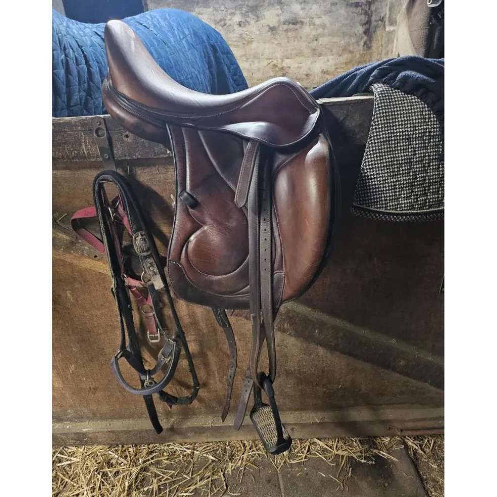 Selle antares cadence