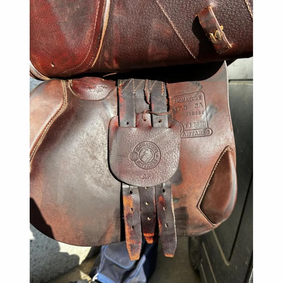 Selle Antares marron signature taille 17,5