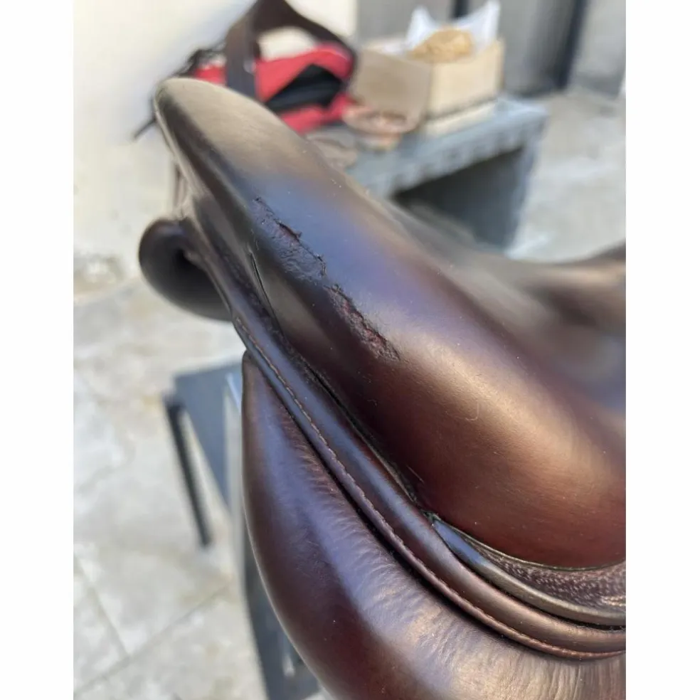 Selle CWD