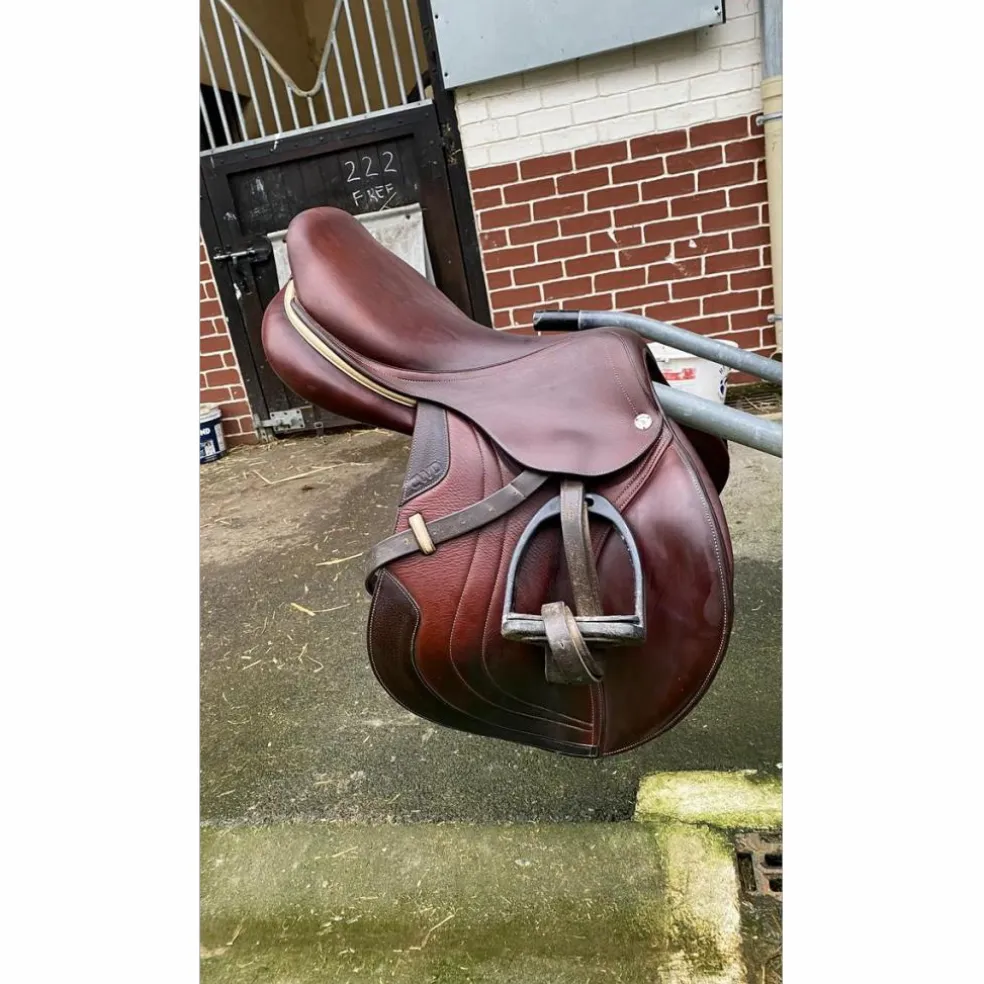 Selle CWD