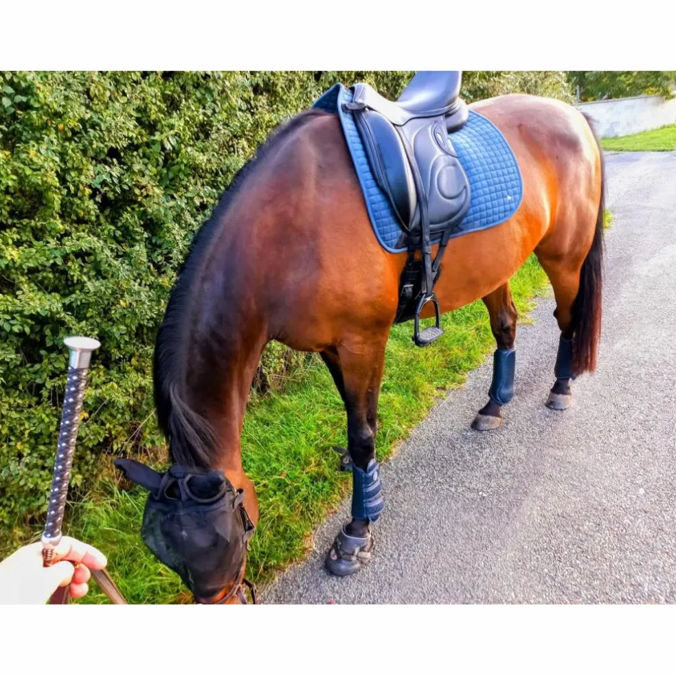 Selle de dressage Devoucoux Loreak – 2017 – 17,5" / Quartiers 3A – Très bon état