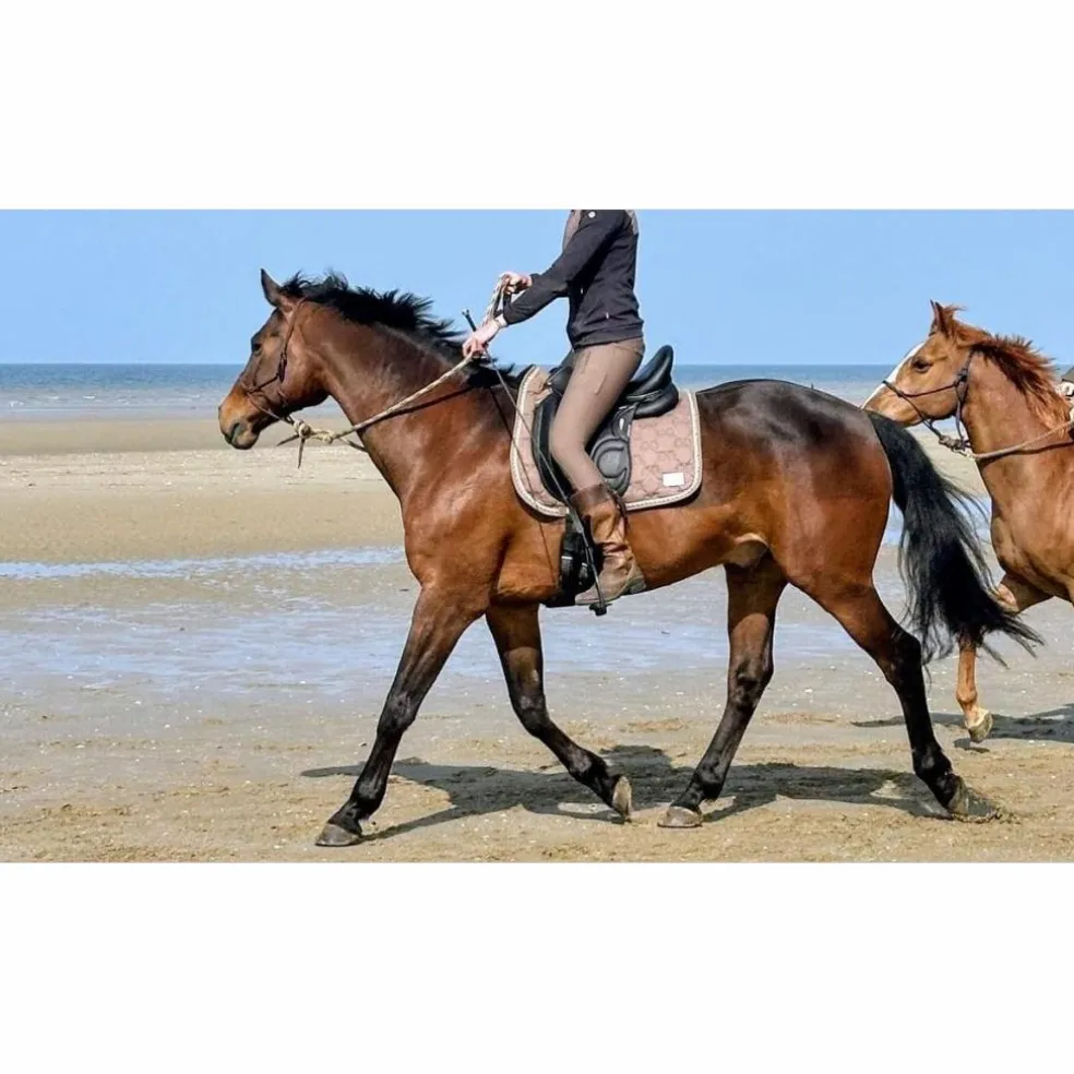 Selle de dressage Devoucoux Loreak – 2017 – 17,5" / Quartiers 3A – Très bon état